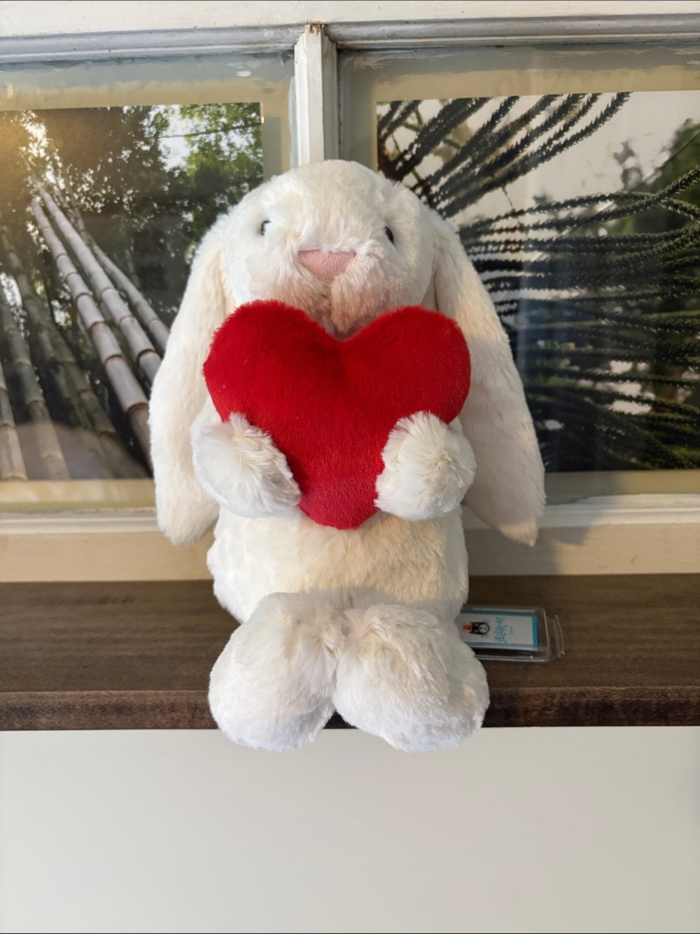 Jellycat Bashful Red Love Heart Bunny